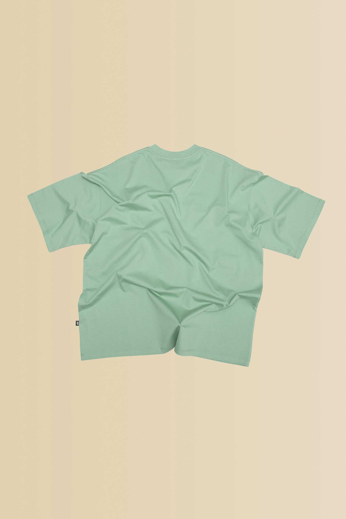 Heavy T-Shirt — Good Gooder Goodest in Mint - GoodGoodGood